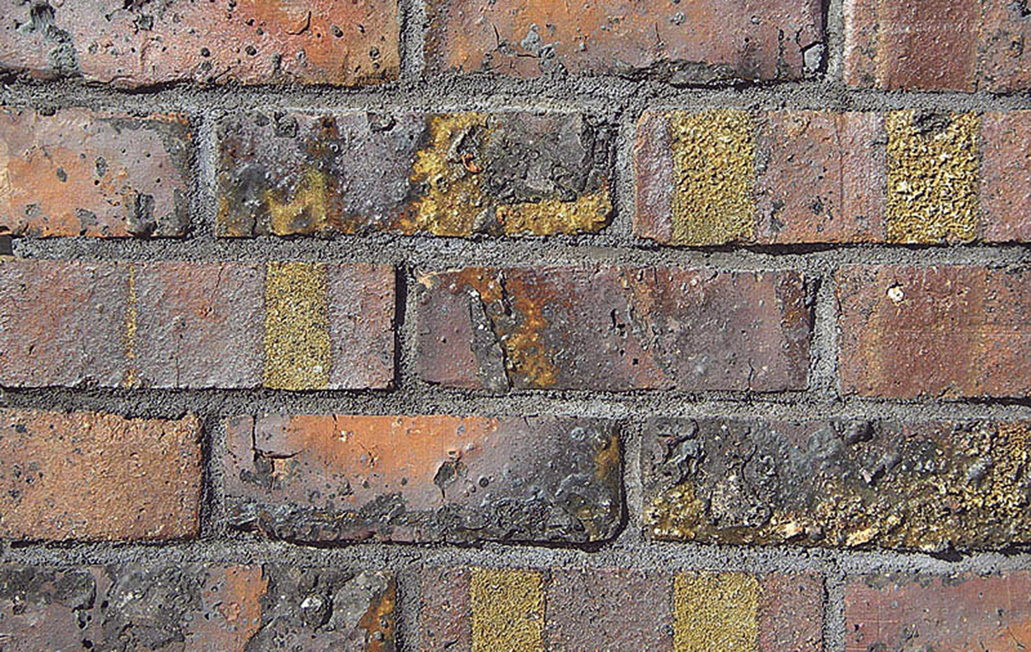 ポコペコ　春陽モカ　L判写真　サイズ　14枚 ポリ袋】小判抜き袋250×400mm (ペールピンク/ペールイエロー